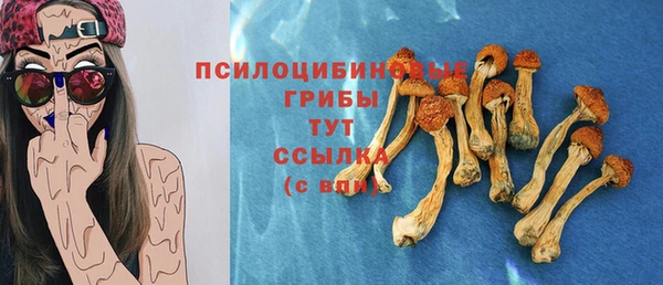 jwh Белокуриха