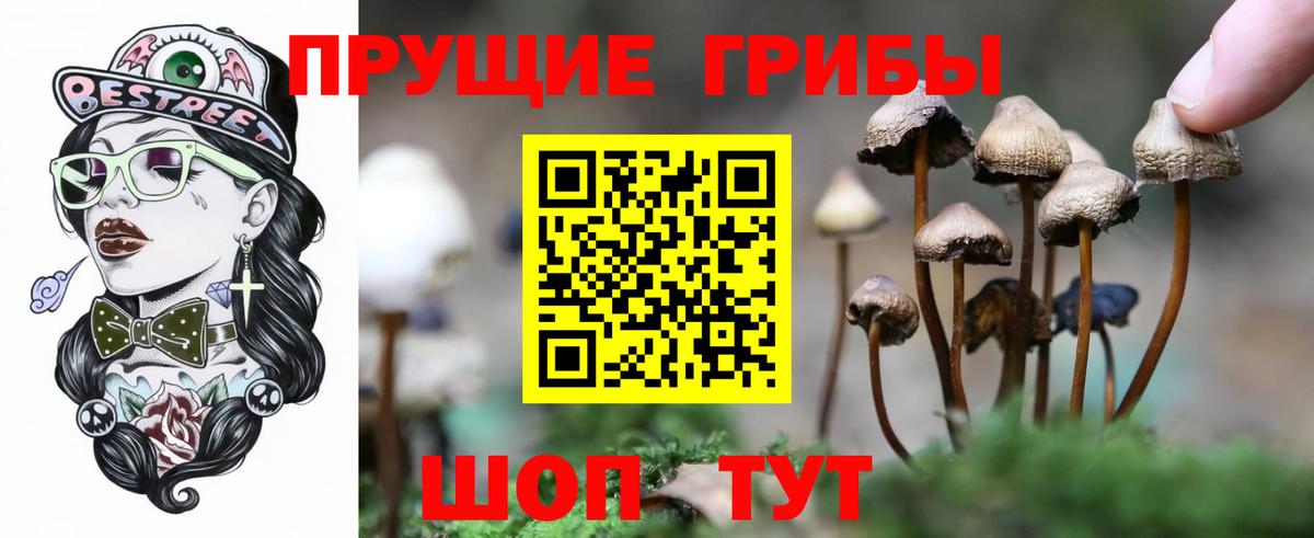 Галлюциногенные грибы MAGIC MUSHROOMS Вятские Поляны